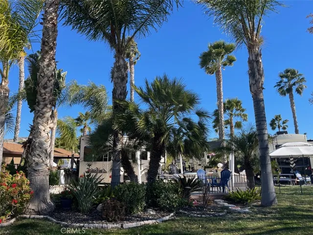 a view of outdoor space with palm trees
