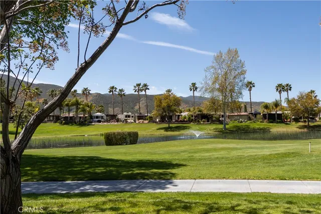 a view of a park with large trees