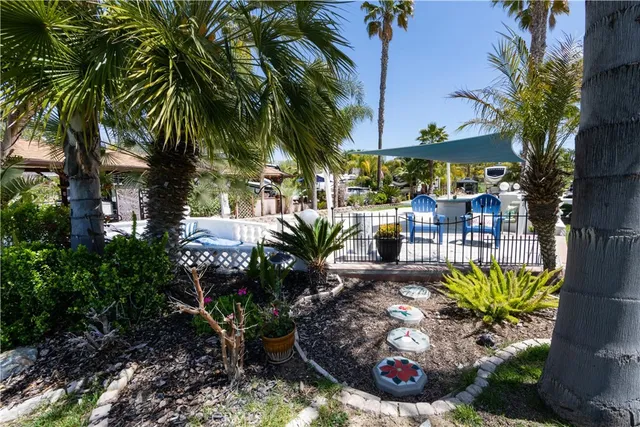 a view of a backyard with plants and palm trees