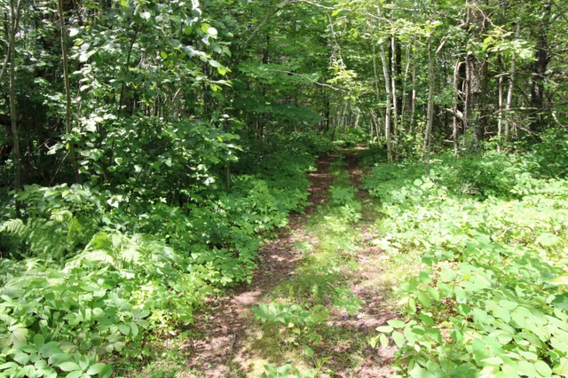 $55,900 | 1 County Road 1, Emily, MN 56447