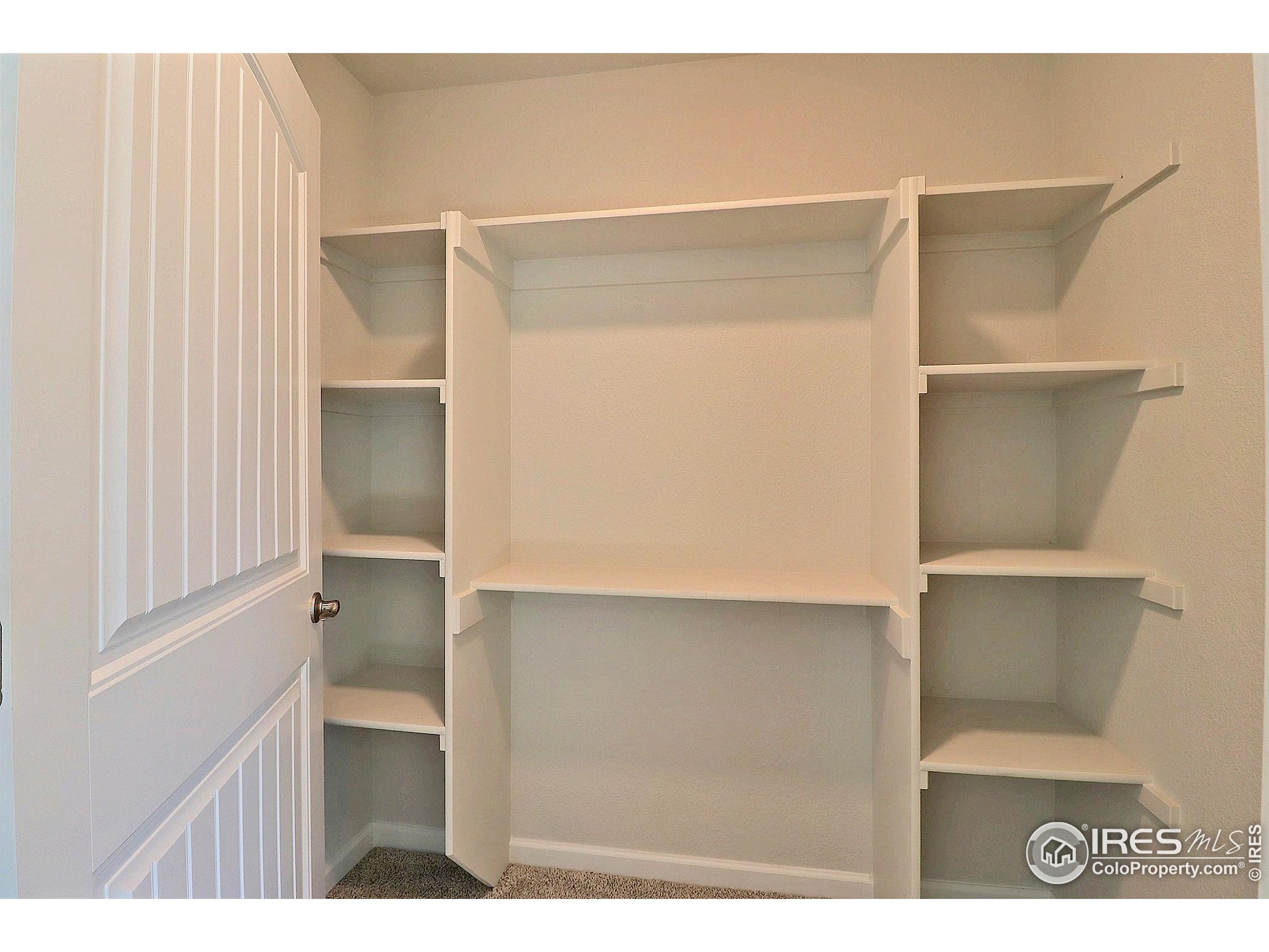 4301 Rockcress Road Evans, CO 80620 - Photo 19 of 26 a view of closet
