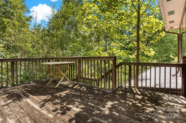 a view of a yard with plants and large trees
