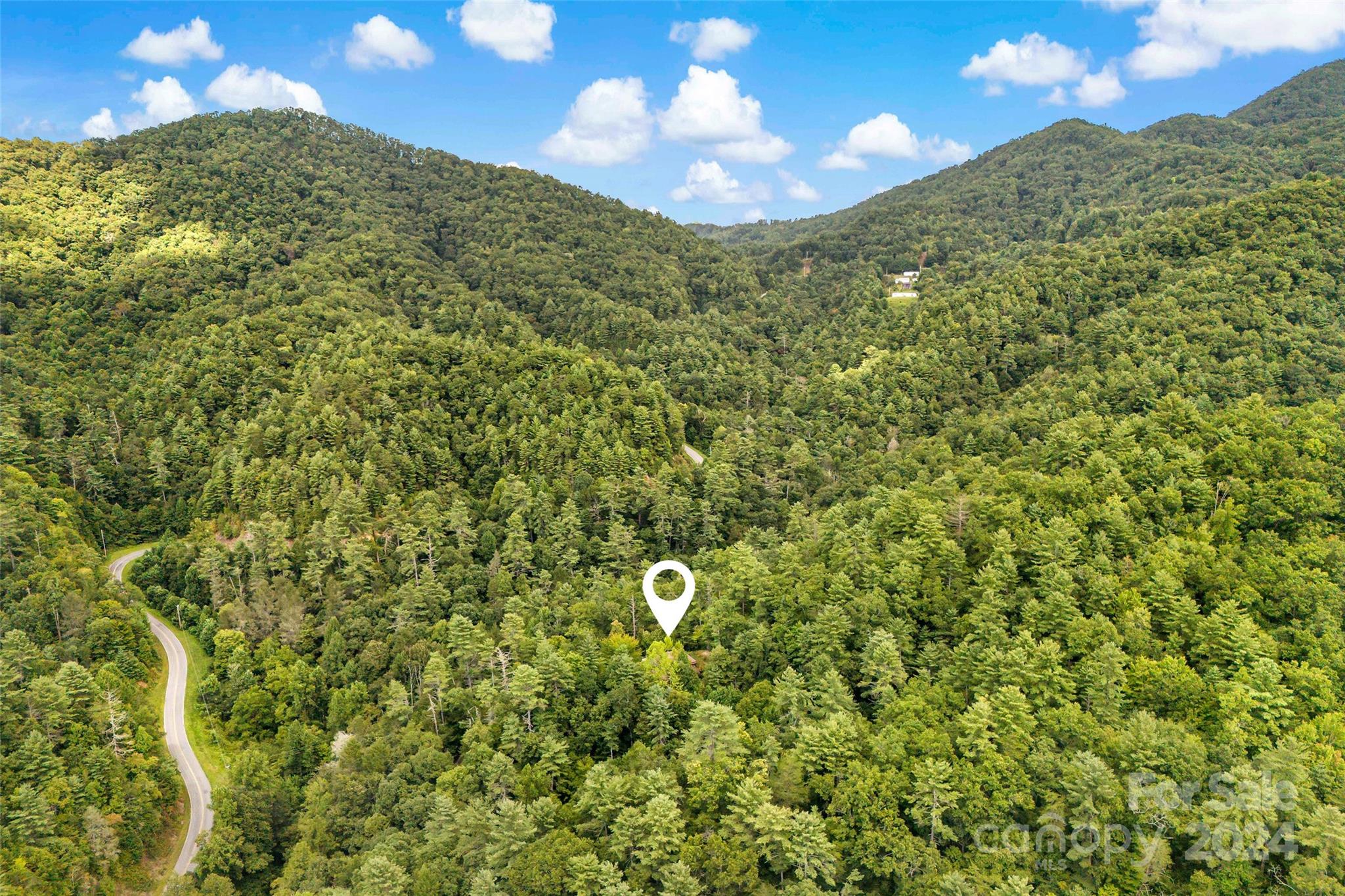 1265 Stackhouse Road Marshall, NC 28753 - Photo 34 of 34 a view of a big yard and large tree