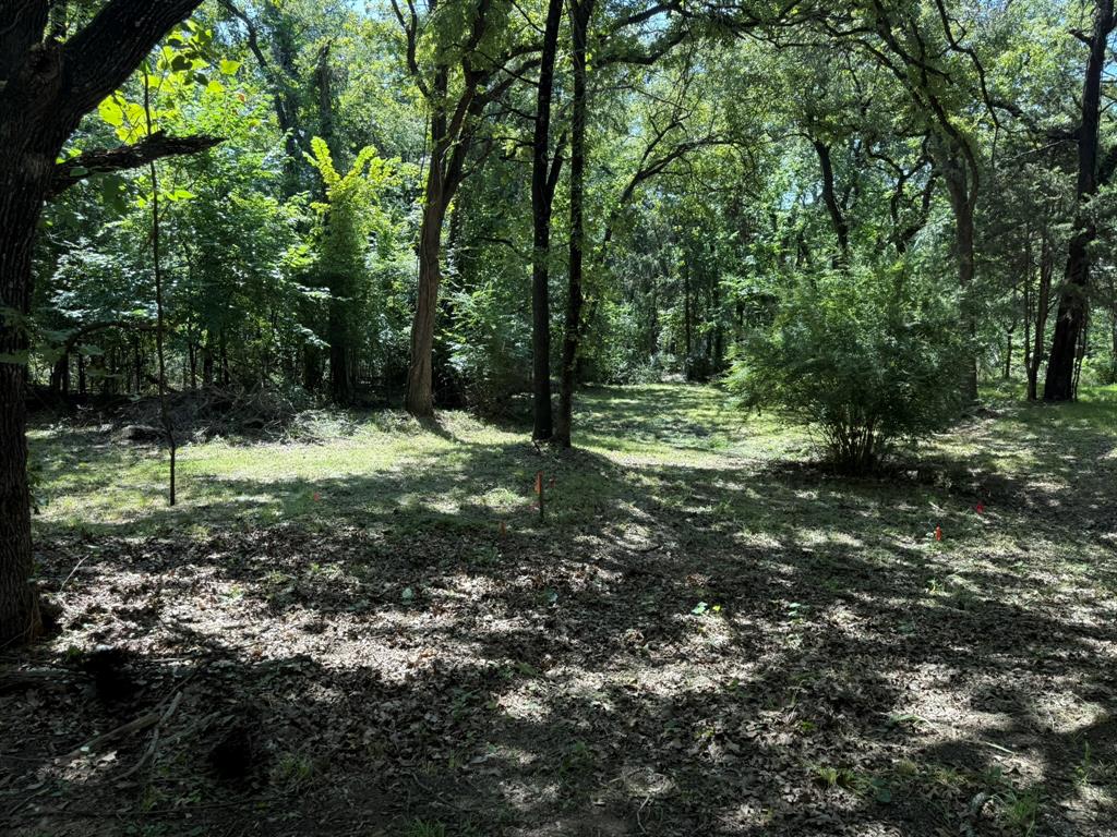 409 Spinnaker Run Oak Point, TX 75068 - Photo 11 of 19 a view of a tree in a yard