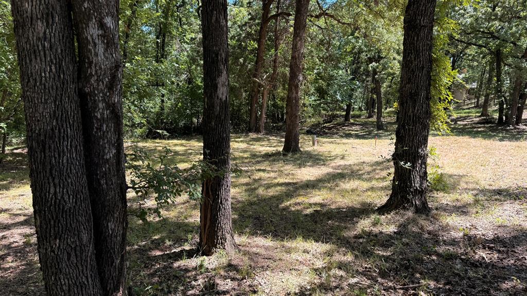 409 Spinnaker Run Oak Point, TX 75068 - Photo 12 of 19 a view of a yard with wooden fence and trees
