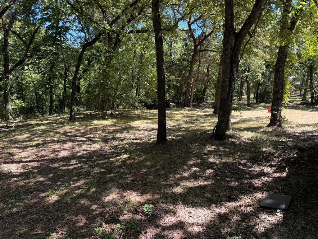 409 Spinnaker Run Oak Point, TX 75068 - Photo 13 of 19 a view of a forest with trees