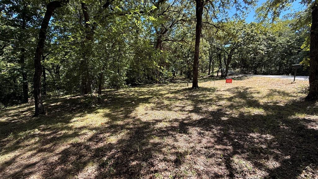 409 Spinnaker Run Oak Point, TX 75068 - Photo 14 of 19 a view of a yard with trees