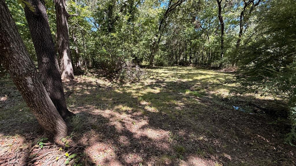 409 Spinnaker Run Oak Point, TX 75068 - Photo 15 of 19 a view of outdoor space with trees