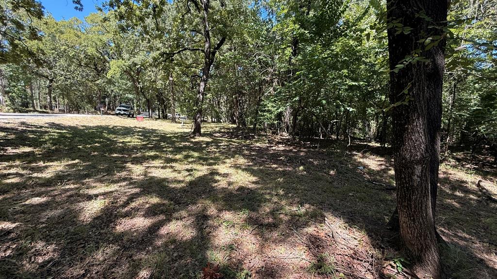 409 Spinnaker Run Oak Point, TX 75068 - Photo 16 of 19 a view of outdoor space with trees