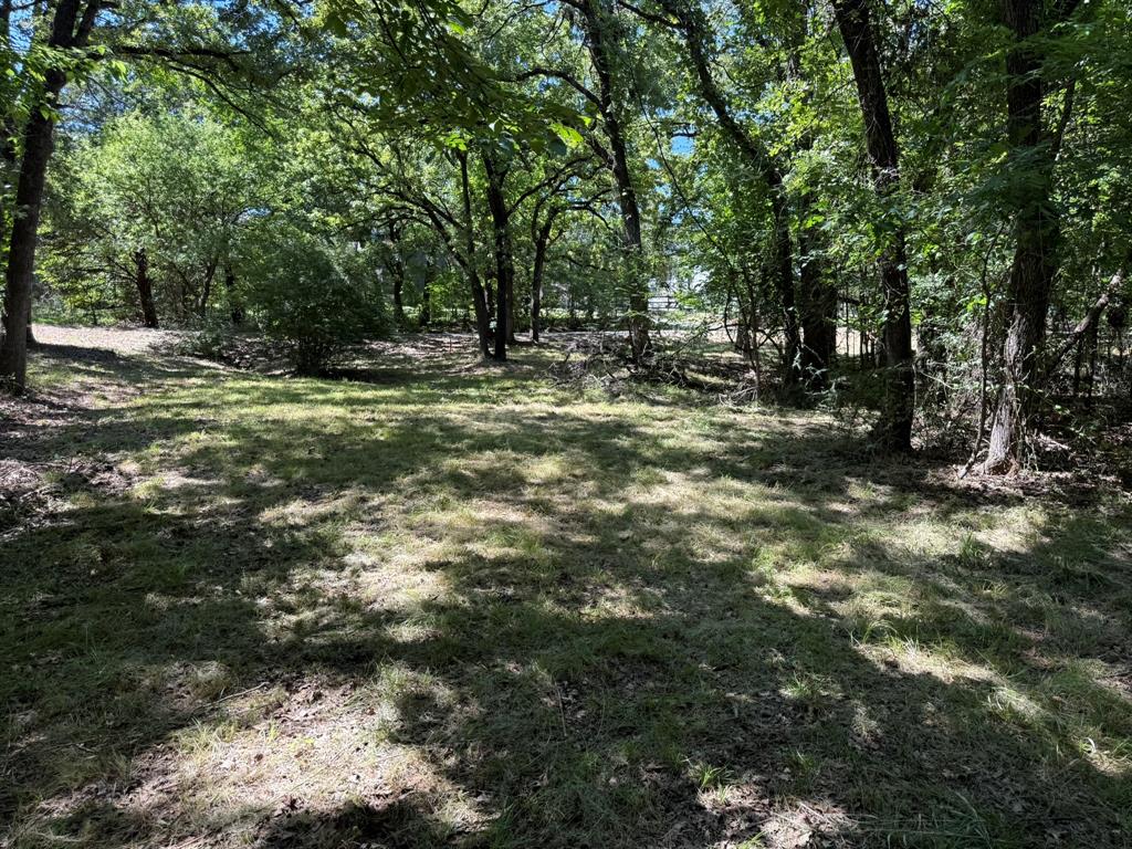 409 Spinnaker Run Oak Point, TX 75068 - Photo 18 of 19 a view of outdoor space with trees all around