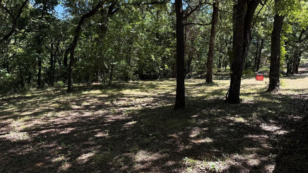 409 Spinnaker Run Oak Point, TX 75068 - Photo 19 of 19 a view of a forest with trees