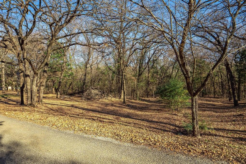 409 Spinnaker Run Oak Point, TX 75068 - Photo 2 of 2 View from street