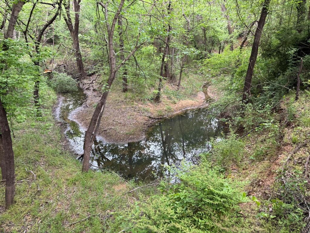 409 Spinnaker Run Oak Point, TX 75068 - Photo 3 of 19 a view of a forest with a tree