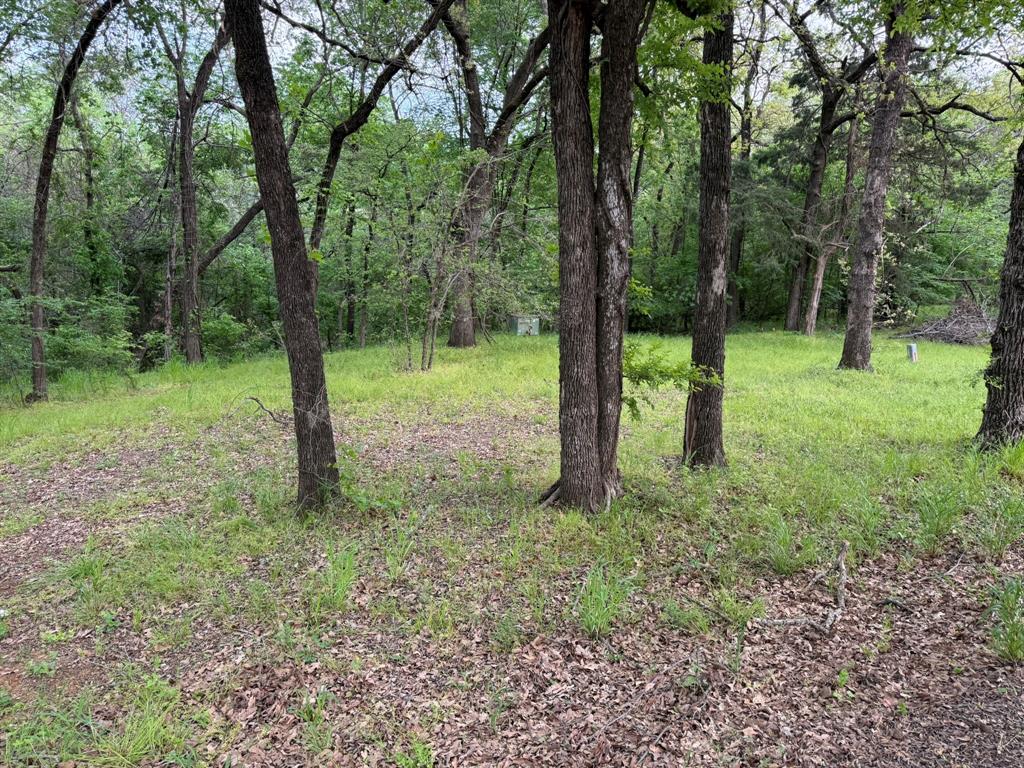 409 Spinnaker Run Oak Point, TX 75068 - Photo 4 of 19 a backyard of a house with lots of green space