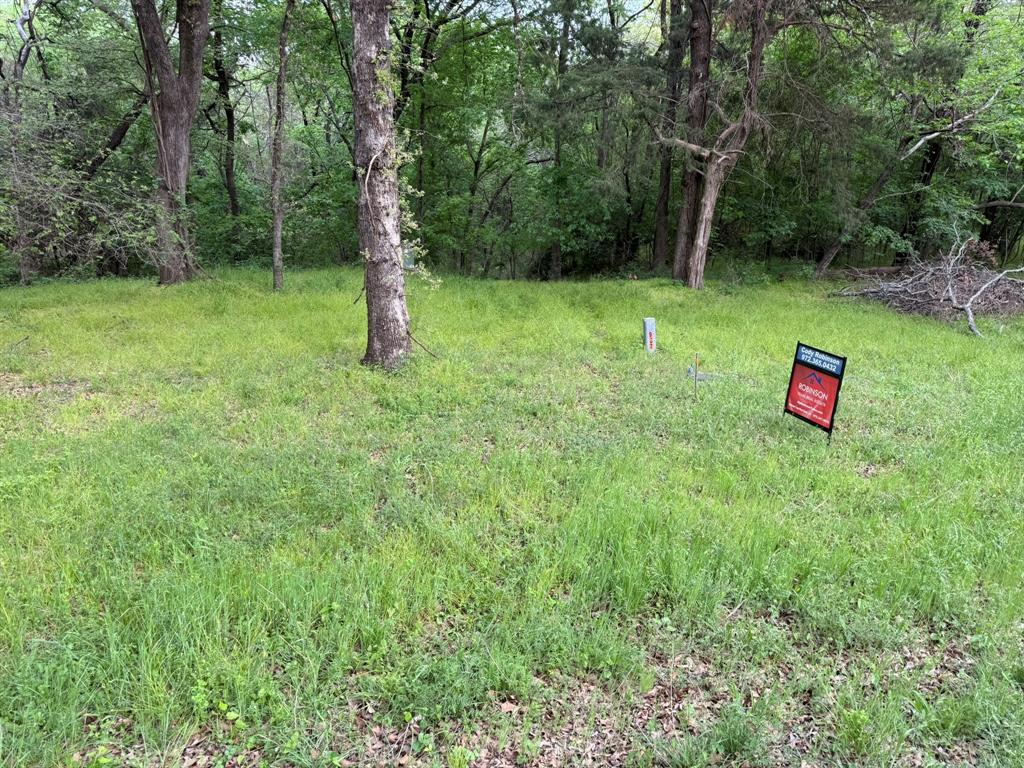 409 Spinnaker Run Oak Point, TX 75068 - Photo 5 of 19 a view of a trees with a park