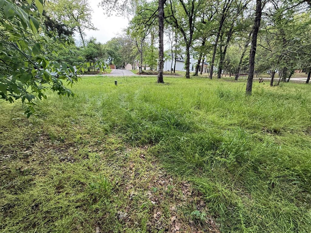 409 Spinnaker Run Oak Point, TX 75068 - Photo 6 of 19 a view of garden with trees