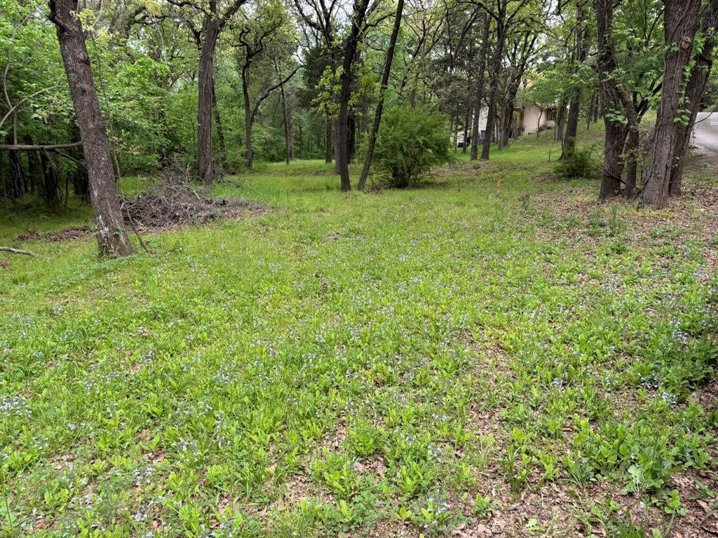 409 Spinnaker Run Oak Point, TX 75068 - Photo 7 of 19 a backyard of a house with lots of green space
