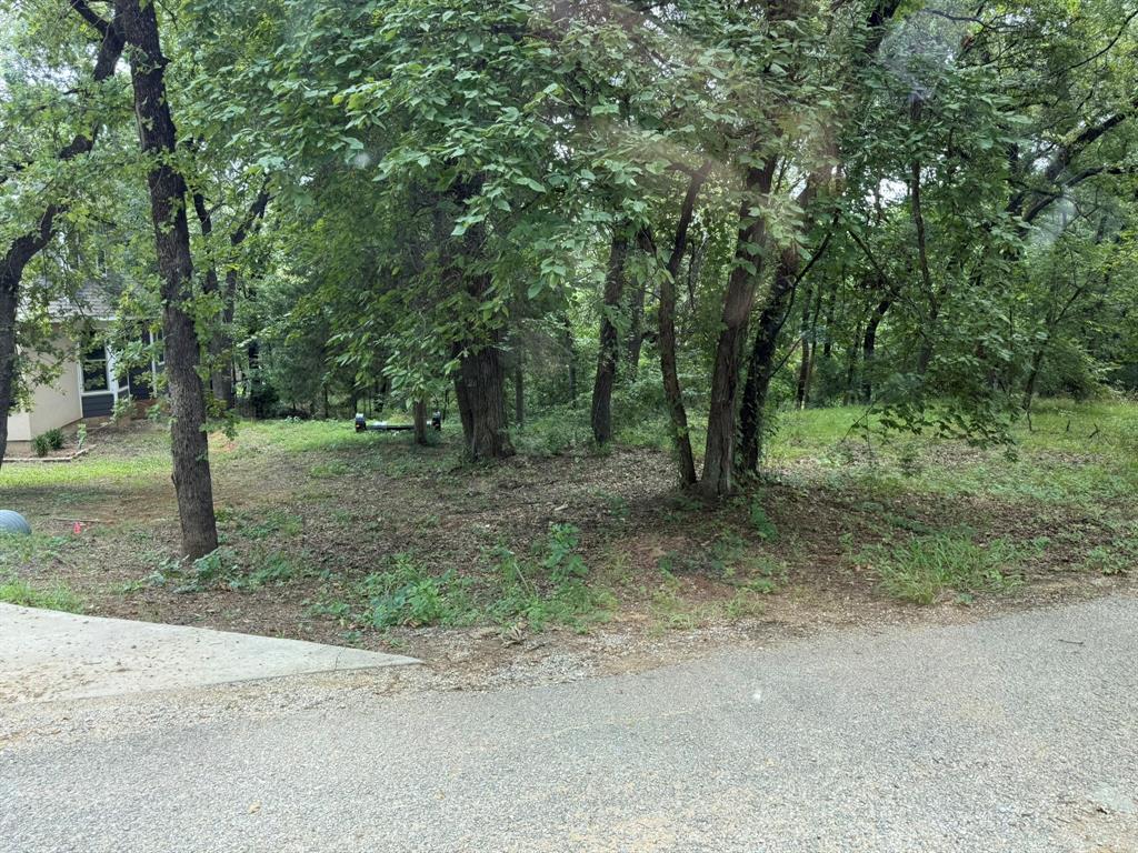 409 Spinnaker Run Oak Point, TX 75068 - Photo 10 of 19 a view of a forest with trees in the background
