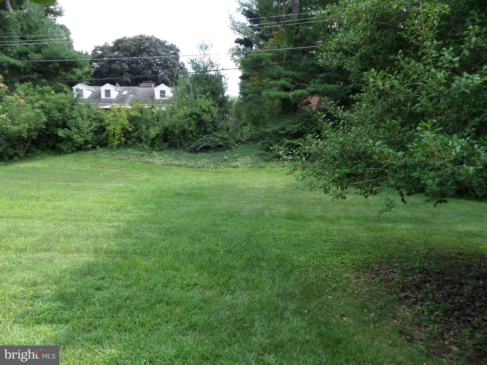 1449 Shoemaker Road Abington, PA 19001 - Photo 8 of 39 Back yard viewed from patio