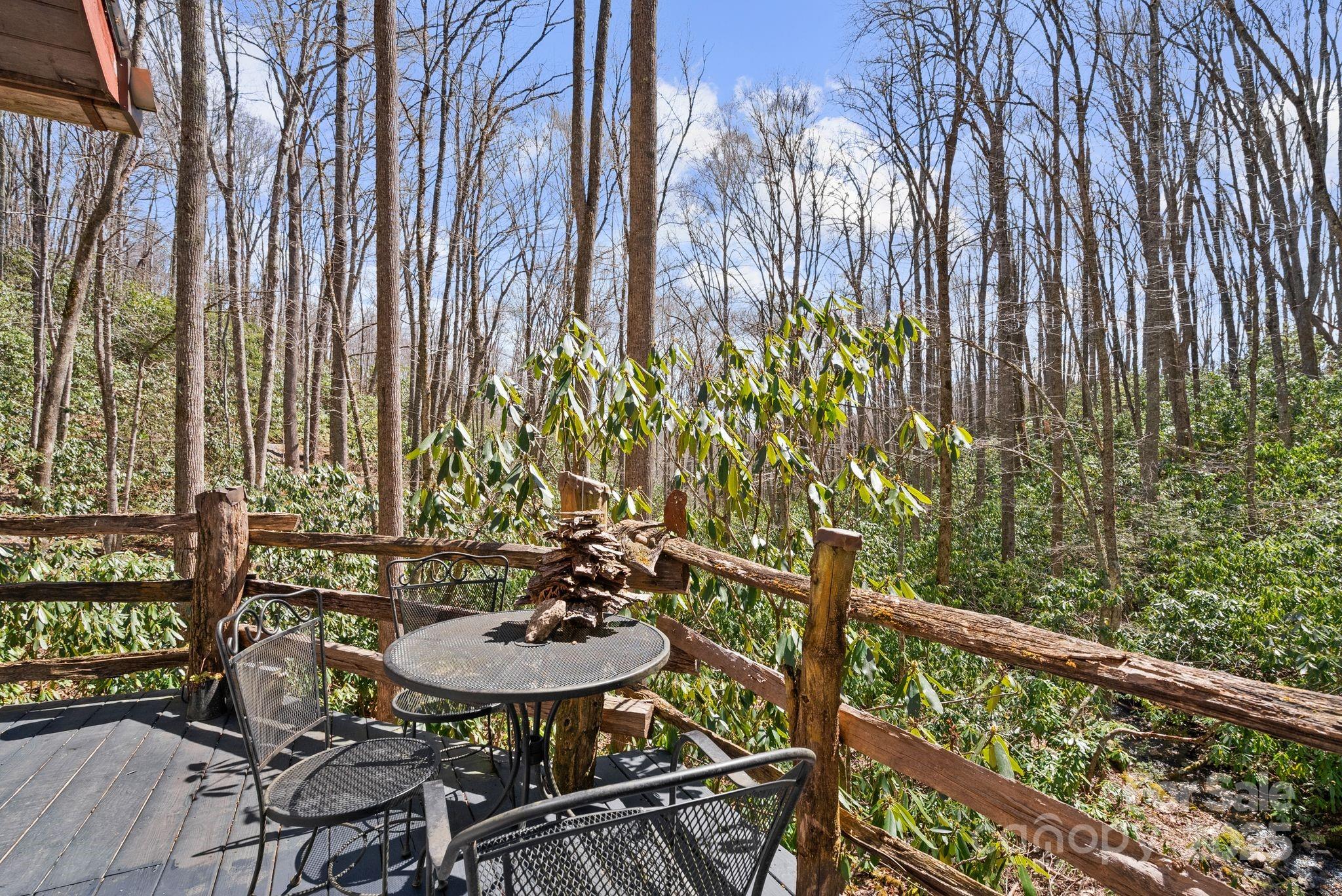 165 Pine Moss Trail Hot Springs, NC 28743 - Photo 12 of 40