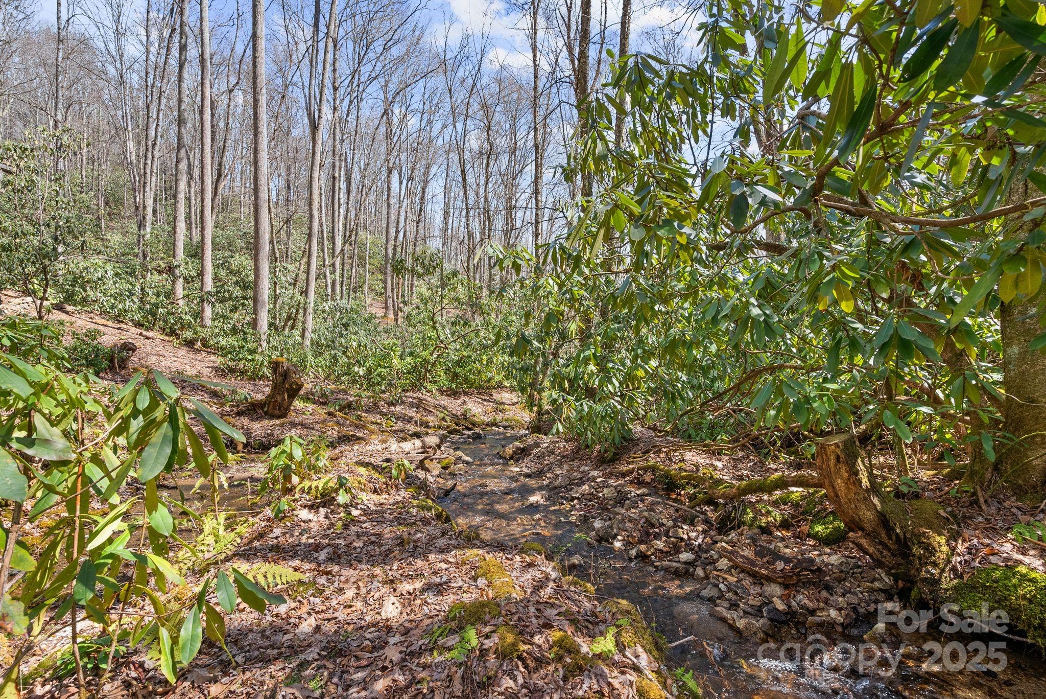 165 Pine Moss Trail Hot Springs, NC 28743 - Photo 33 of 40