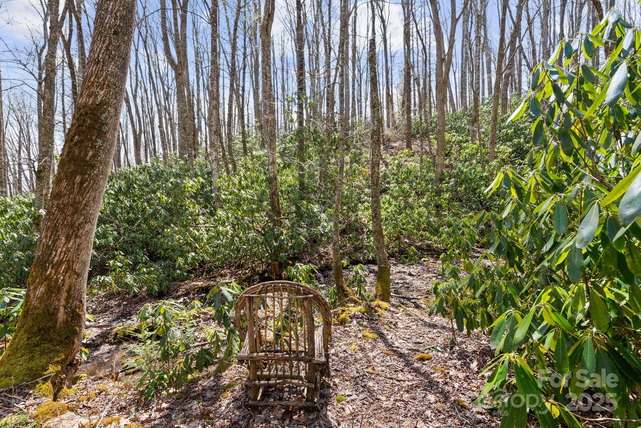 165 Pine Moss Trail Hot Springs, NC 28743 - Photo 34 of 40