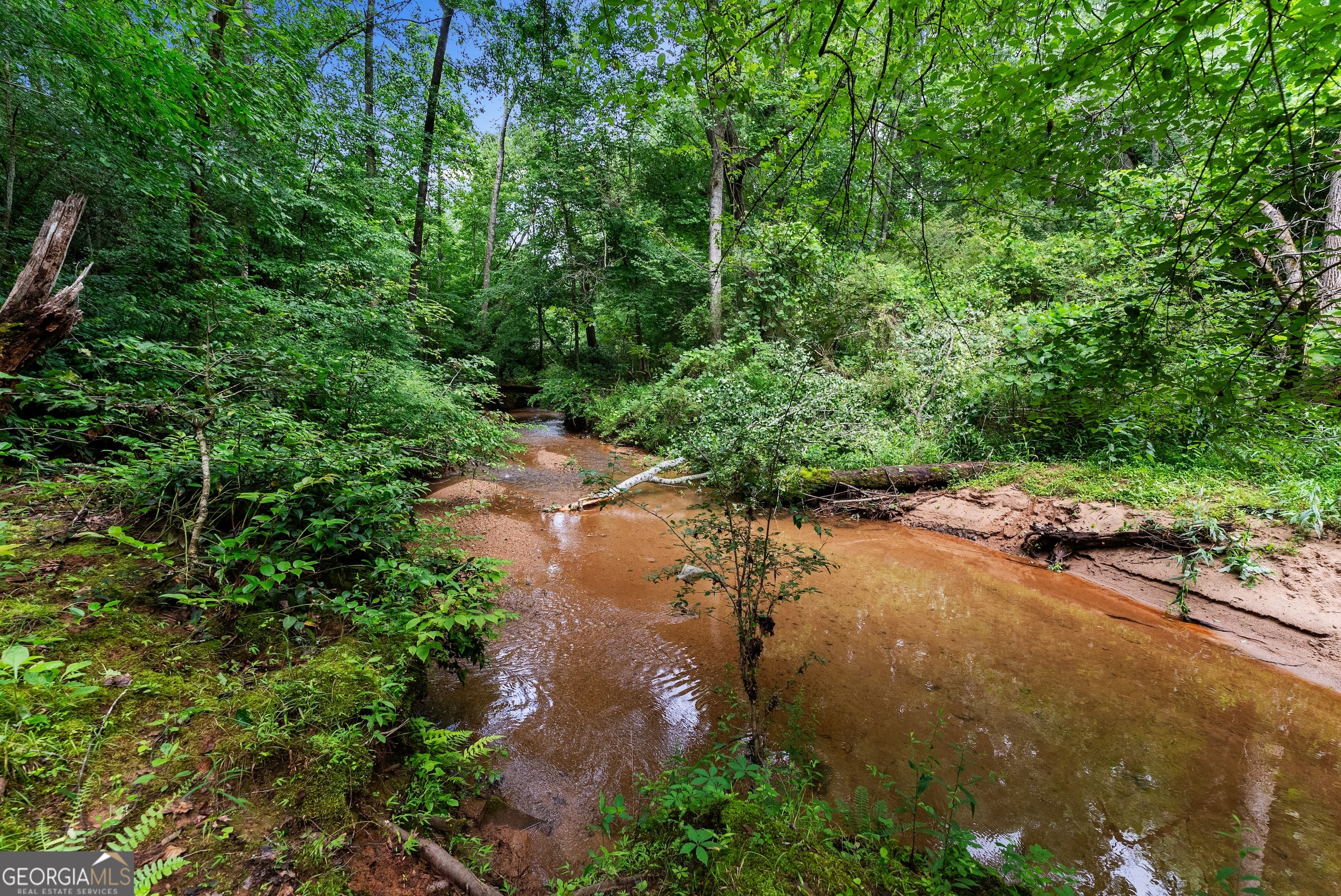 429 Hubert Harris Road Cornelia, GA 30531 - Photo 4 of 89