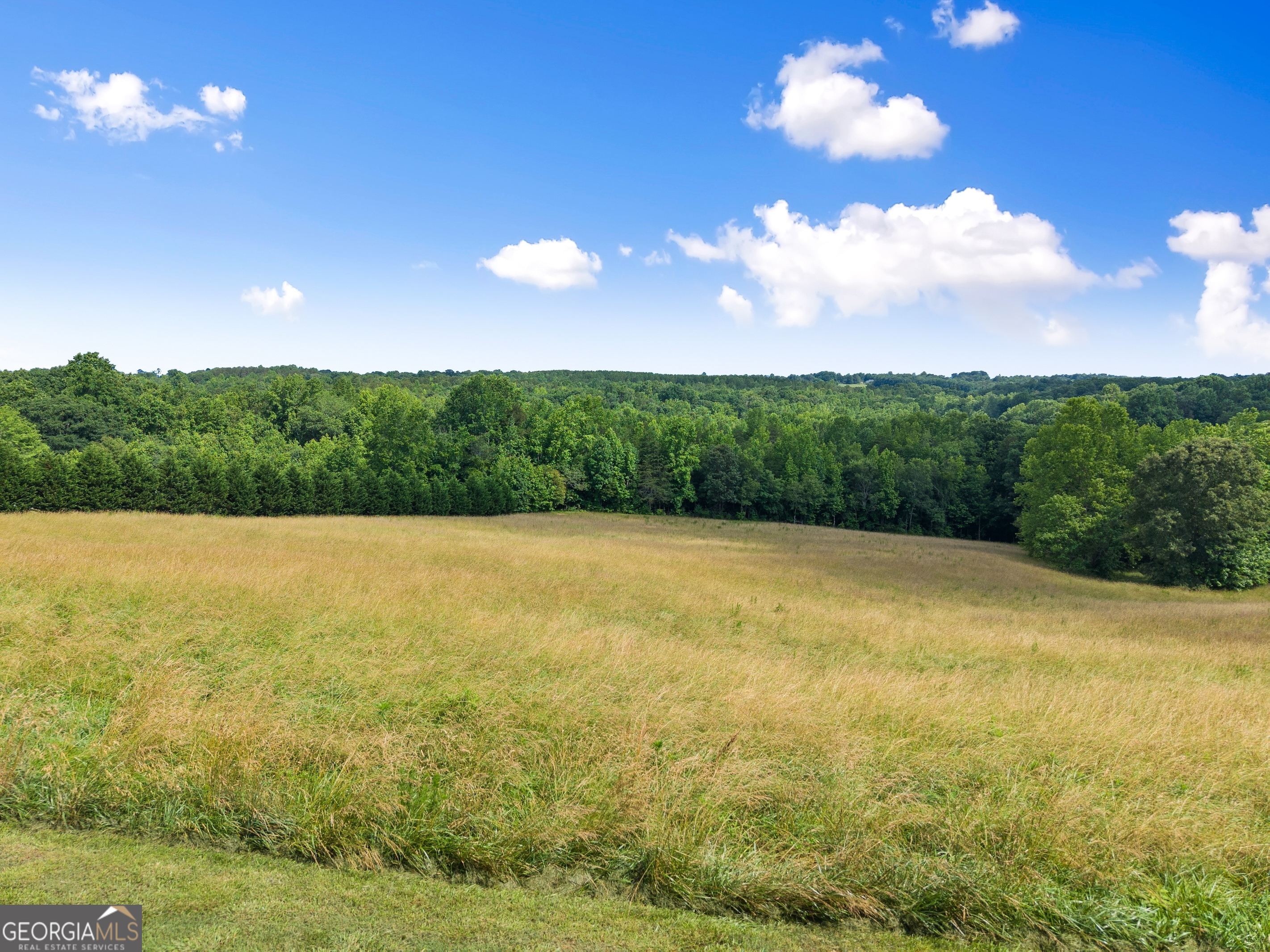 429 Hubert Harris Road Cornelia, GA 30531 - Photo 77 of 89