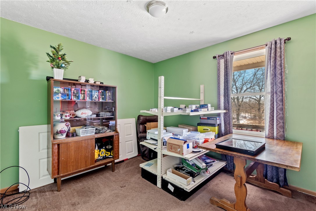 4330 Lunar Road Northwest Minerva, OH 44657 - Photo 13 of 21 Office featuring a textured ceiling and dark carpet