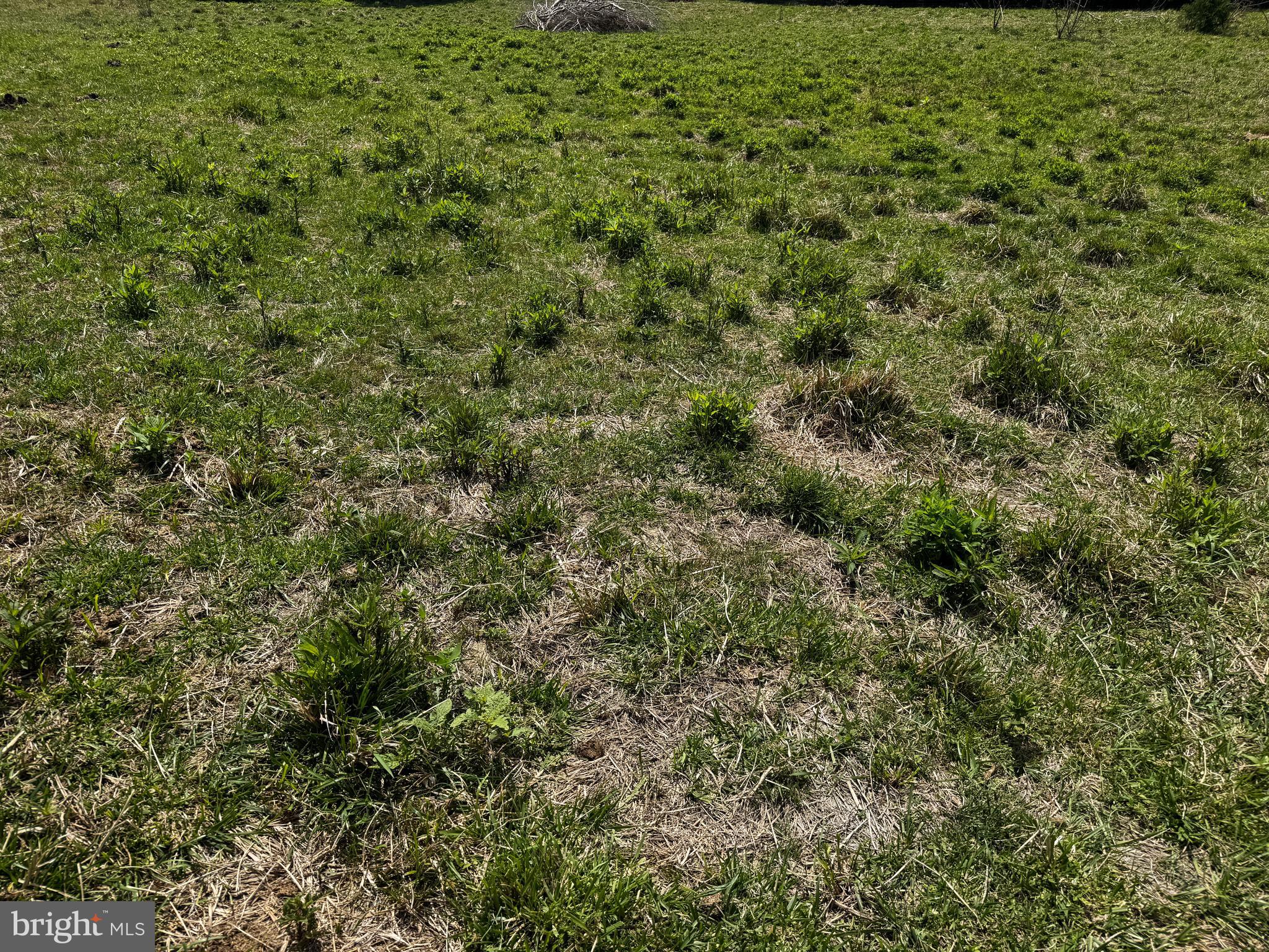 140 Huttle Road Stephens City, VA 22655 - Photo 7 of 20 Land