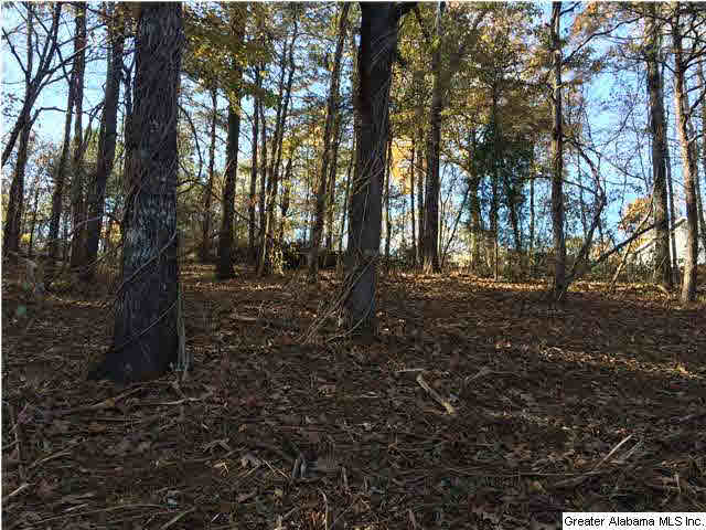 Sharon Drive, Unit 17 McCalla, AL 35111 - Photo 5 of 14