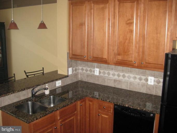 24666 Buttonbush Terrace, Unit 24 Aldie, VA 20105 - Photo 2 of 9 Kitchen