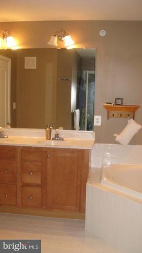 24666 Buttonbush Terrace, Unit 24 Aldie, VA 20105 - Photo 9 of 9 Master Bath