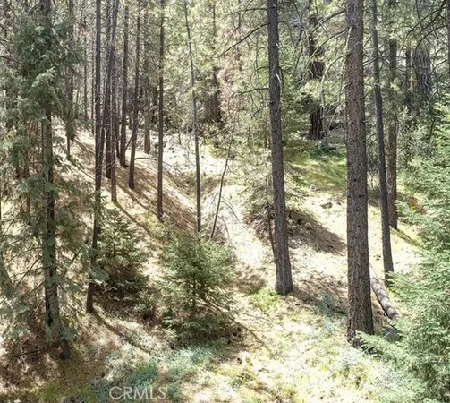 $9,900 | 1316 Zermatt Court, Pine Mountain Club, CA 93222