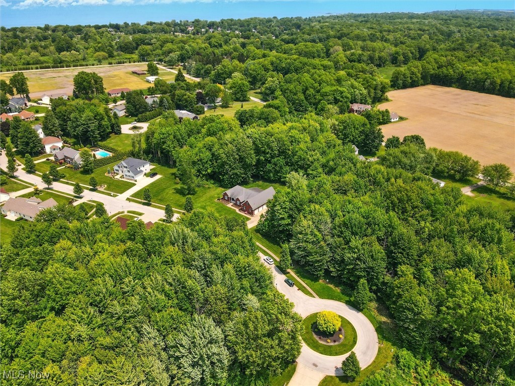 4440 Rutledge Avenue Ashtabula, OH 44004 - Photo 44 of 50 Drone / aerial view of a forest