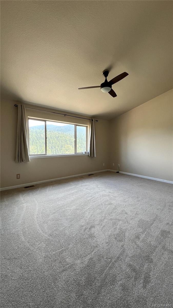 303 Virginia Road, Unit E Bailey, CO 80421 - Photo 12 of 16 an empty room with a window and a ceiling fan