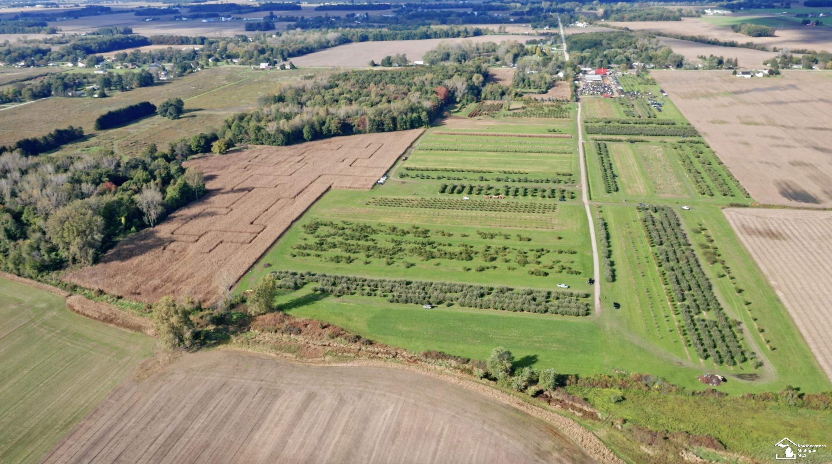1235 Erie Road Erie, MI 48133 - Photo 3 of 8