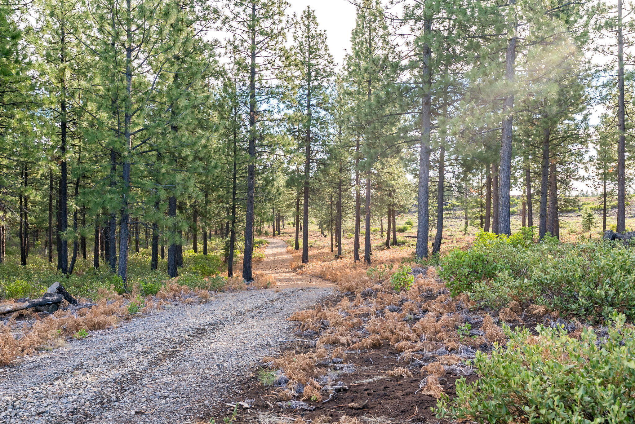 70410 McAllister Road, Unit FS ROAD 2060 Sisters, OR 97759 - Photo 12 of 28