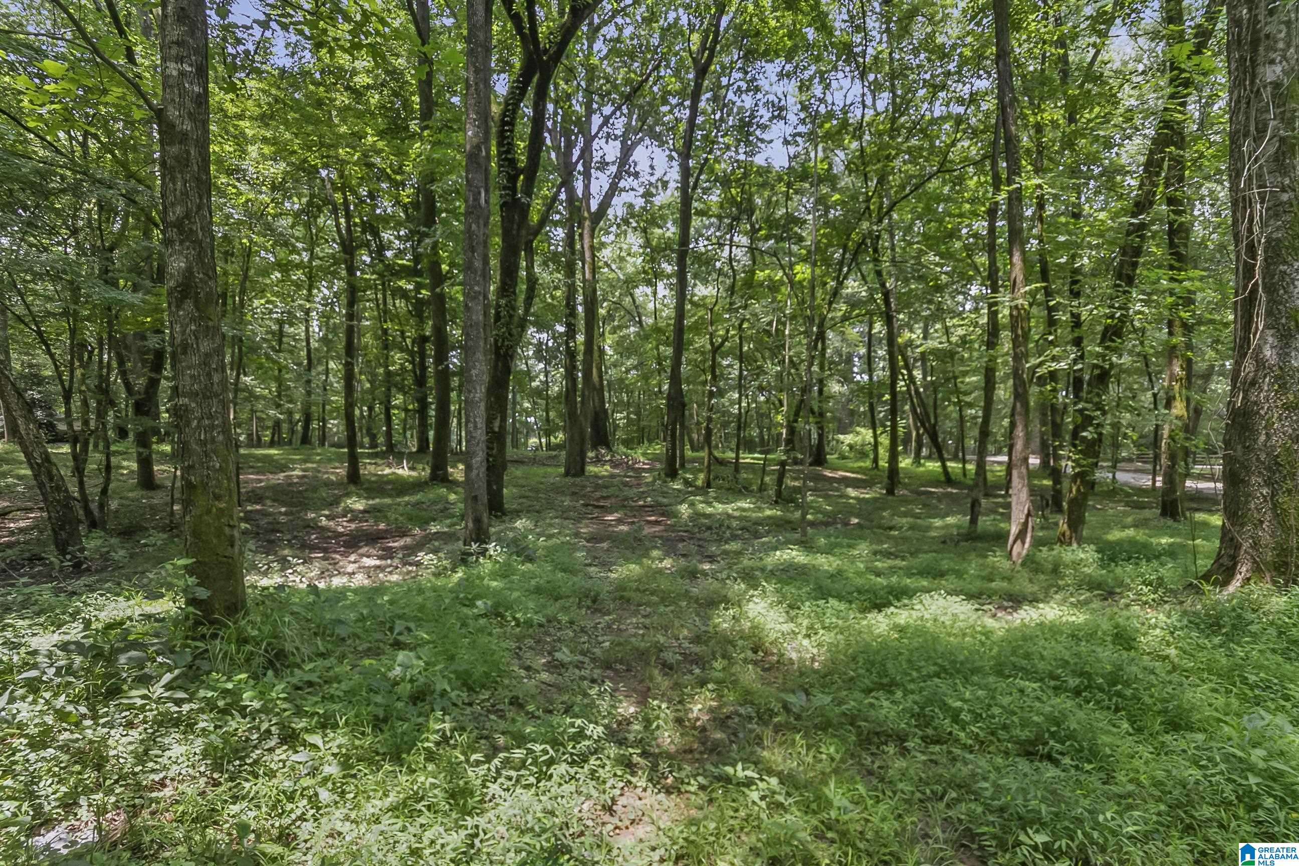 13615 Riverbend Road Moundville, AL 35474 - Photo 8 of 33