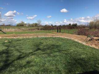 21710 Lone Tree Road Anderson, CA 96007 - Photo 15 of 16 a view of a lake with a big yard