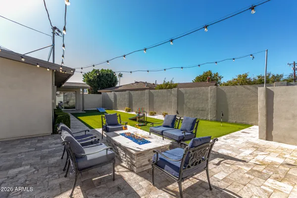 a garden with plants and trees