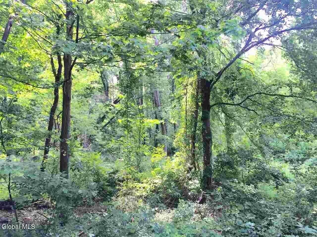 $80,000 | 98 Pollock Road, Colonie, NY 12110