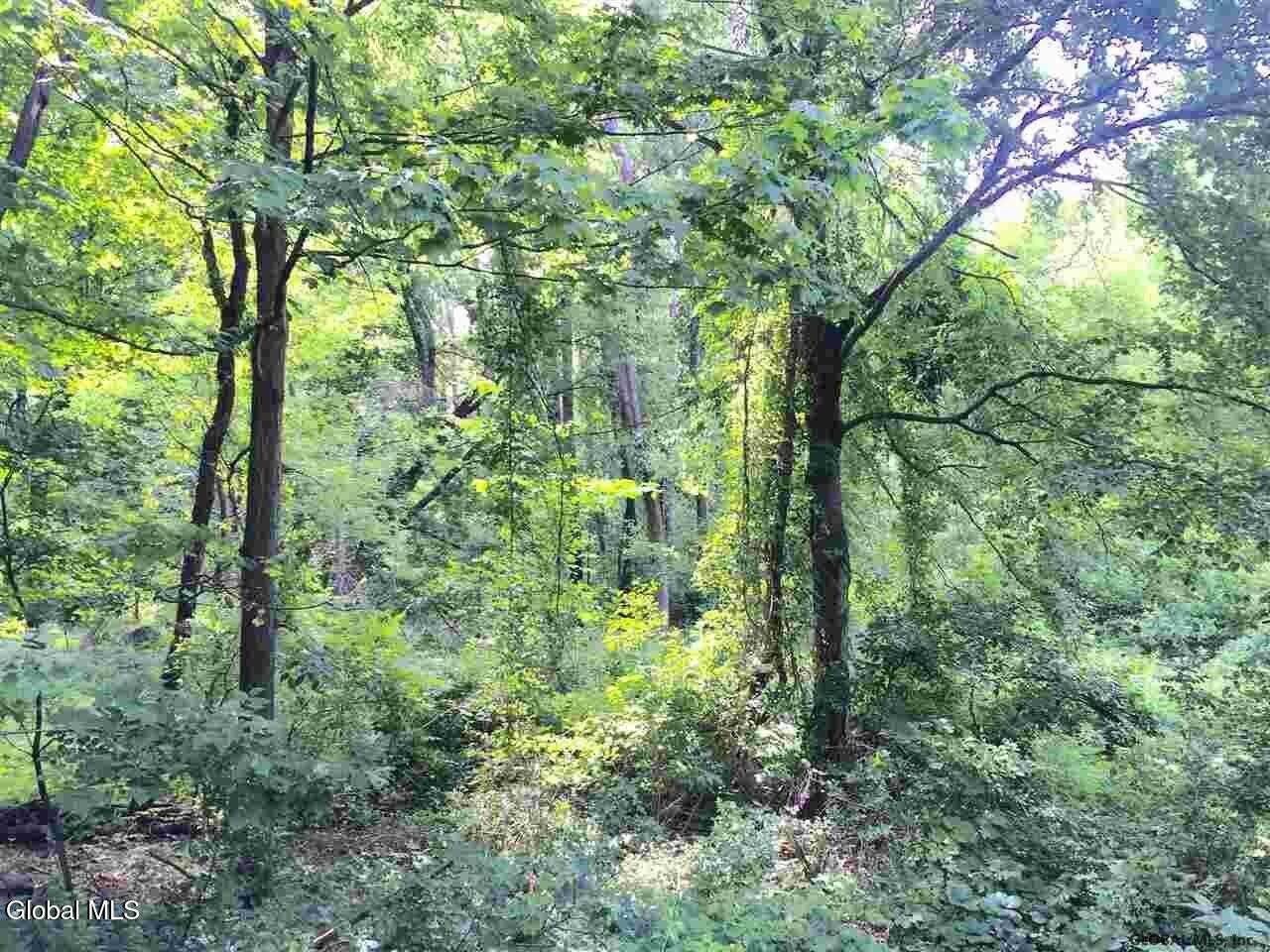 98 Pollock Road Colonie, NY 12110 - Photo 4 of 8 20211118080325207602000000-o