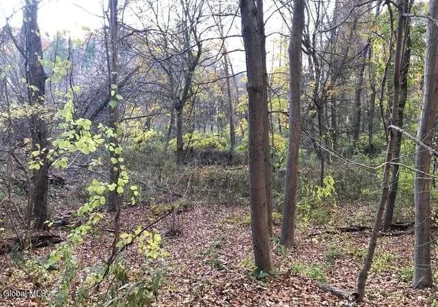 $80,000 | 98 Pollock Road, Colonie, NY 12110