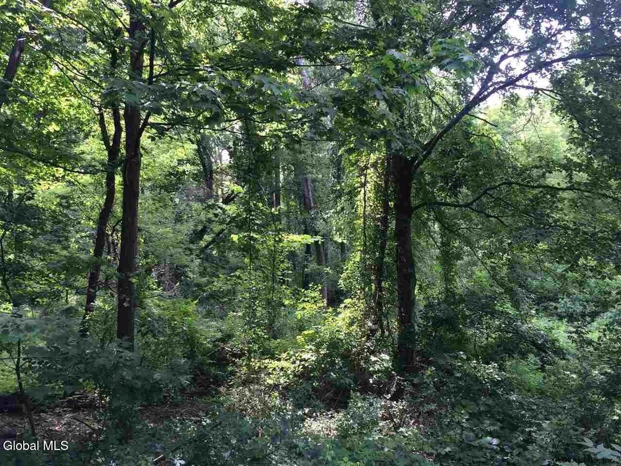 98 Pollock Road Colonie, NY 12110 - Photo 6 of 8 20211118081410978348000000-o