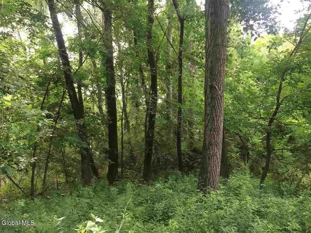 $80,000 | 98 Pollock Road, Colonie, NY 12110