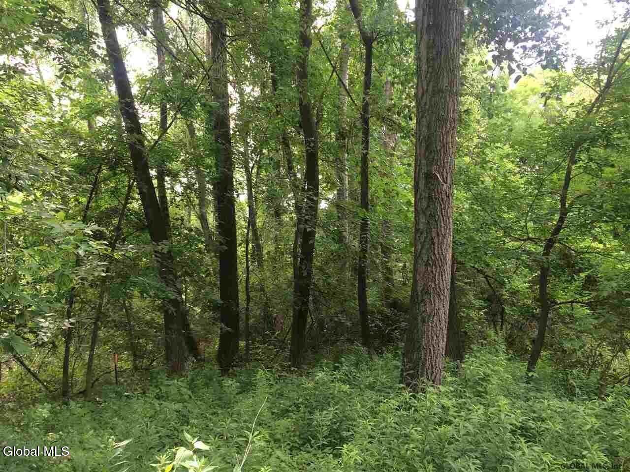 98 Pollock Road Colonie, NY 12110 - Photo 7 of 8 20211118081409140684000000-o