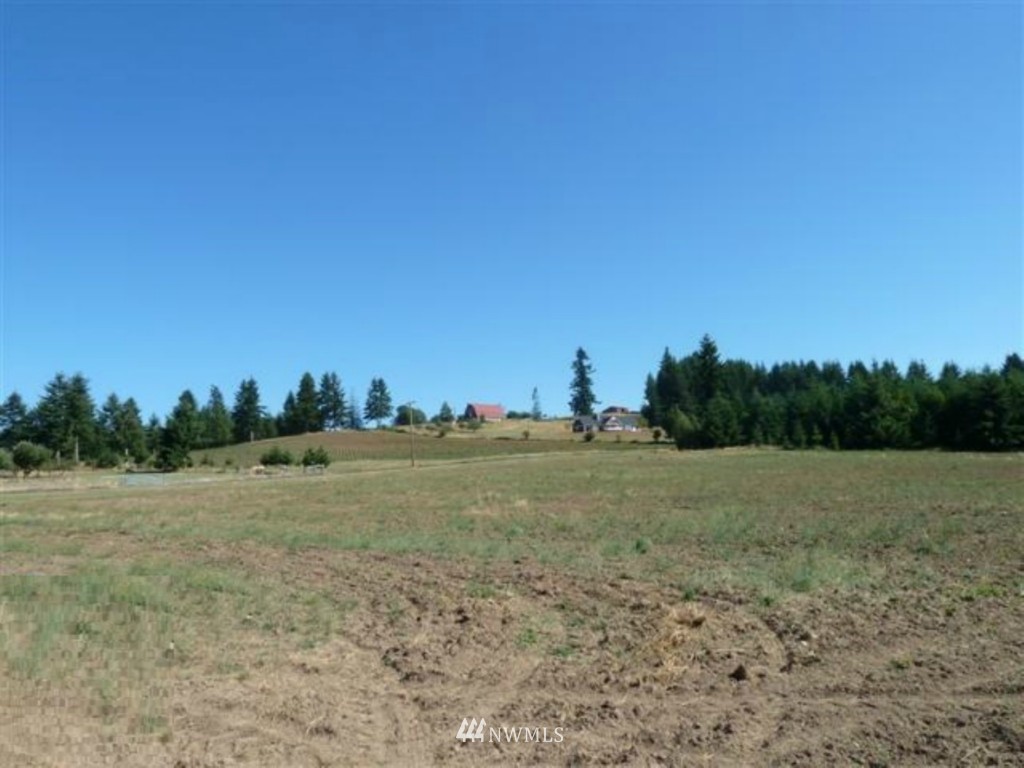 352 Pleasant Hill Road Chehalis, WA 98532 - Photo 2 of 5