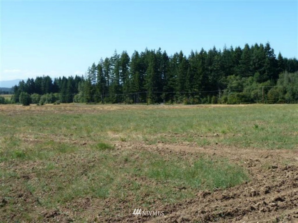 352 Pleasant Hill Road Chehalis, WA 98532 - Photo 3 of 5