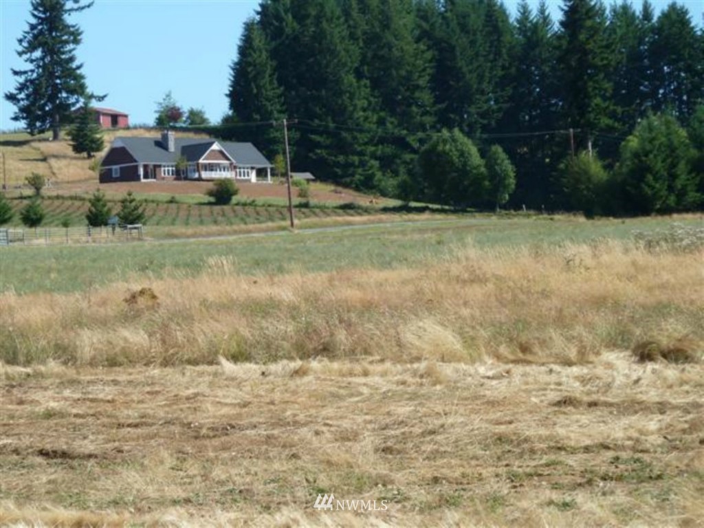 352 Pleasant Hill Road Chehalis, WA 98532 - Photo 4 of 5